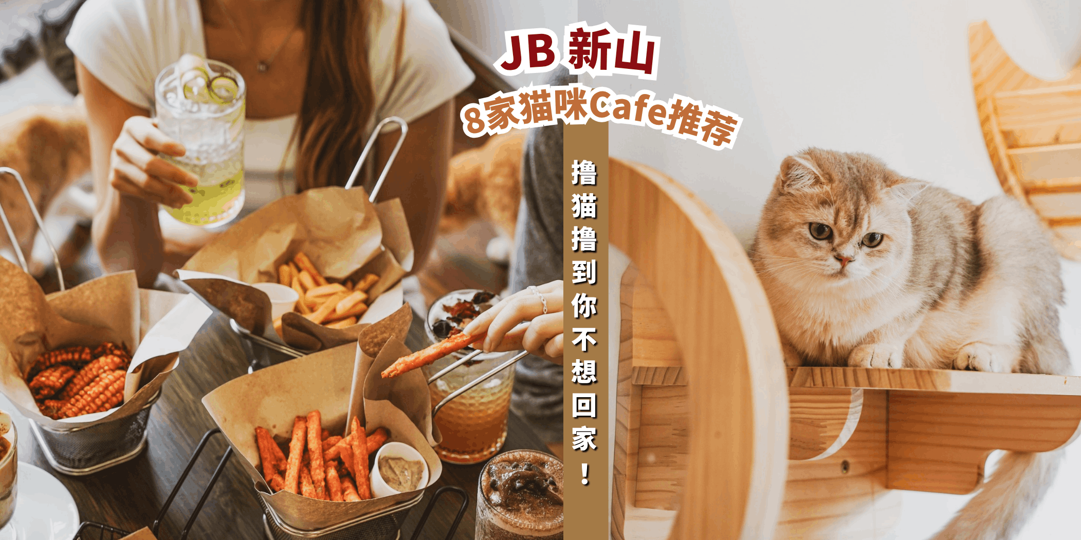 【新山猫咪Cafe 8家推荐🐱撸猫撸到不想回家！✨】