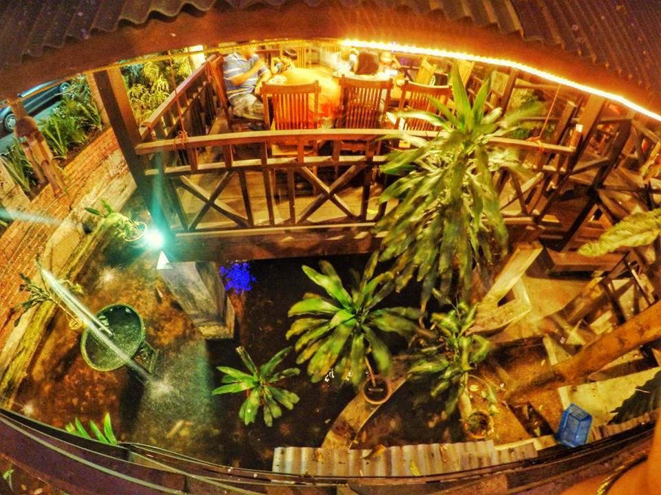 好介绍！吃货看过来！泰国餐厅好 Carabao Authentic Thai Restaurant