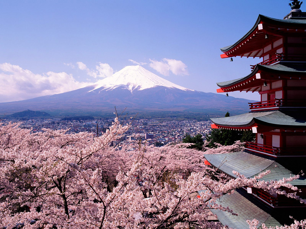 Photo Credit : Sakura