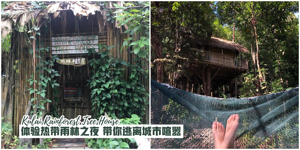 【Kulai Rainforest Tree House】体验热带雨林之夜 · 带你逃离城市喧器！