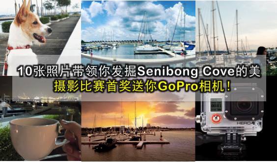 10张照片带你发掘Senibong Cove的美！摄影大赛首奖送你GoPro运动相机