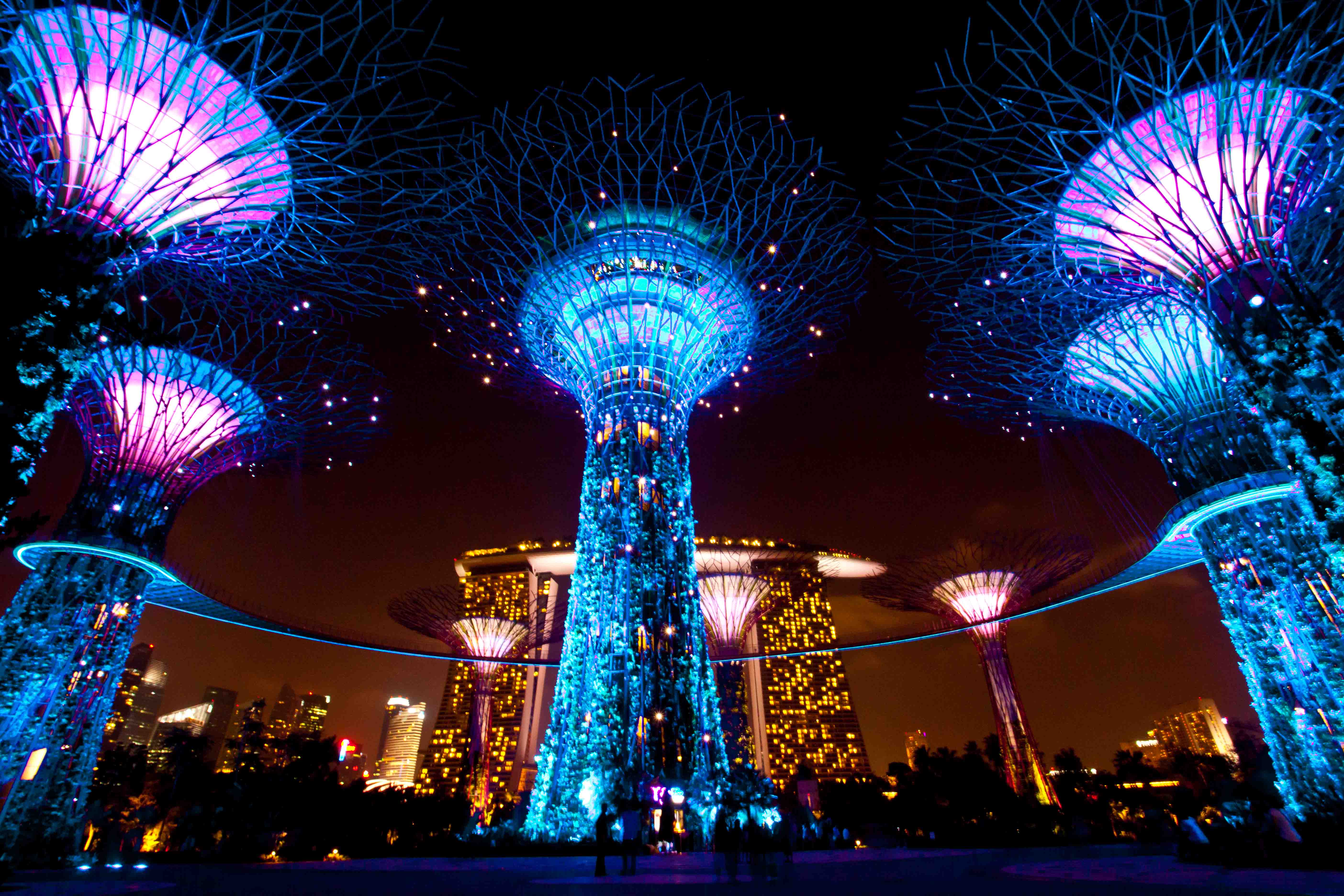 Supertree-Grove-Gardens-by-the-Bay_Cynthia-Soegiharto1