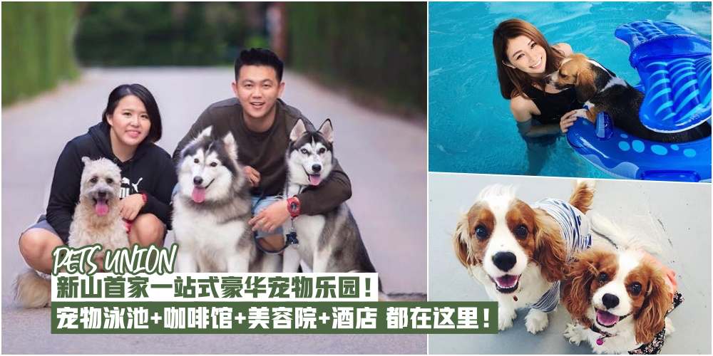 【Pet’s Union 】新山首家一站式宠物乐园