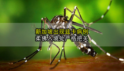 新加坡出现兹卡病例 · 柔佛入境处严格把关 · 大马不禁国人来往新国