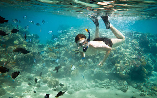 phi-phi-island-snorkelling