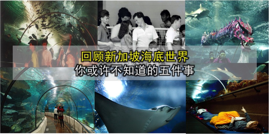回顾新加坡海底世界：你或许不知道的5件事