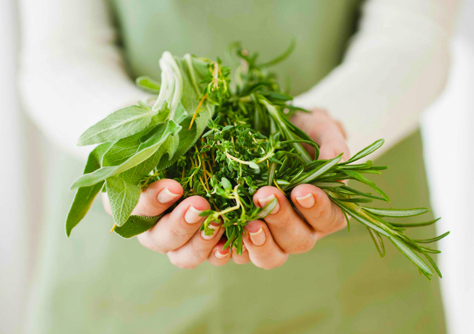 Handful-Herbs
