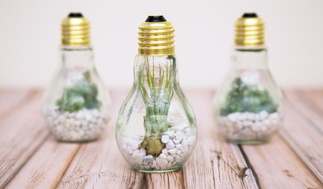 Light-Bulb-Terrarium-Lifestyle-1