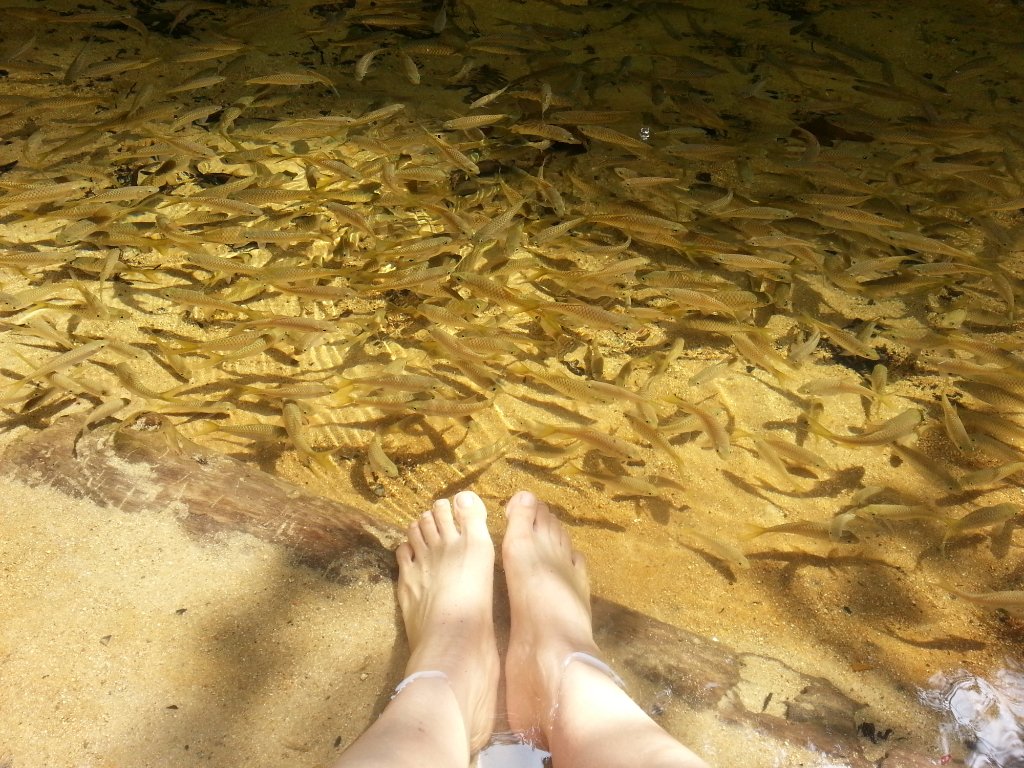 foot-spa-at-the-stream