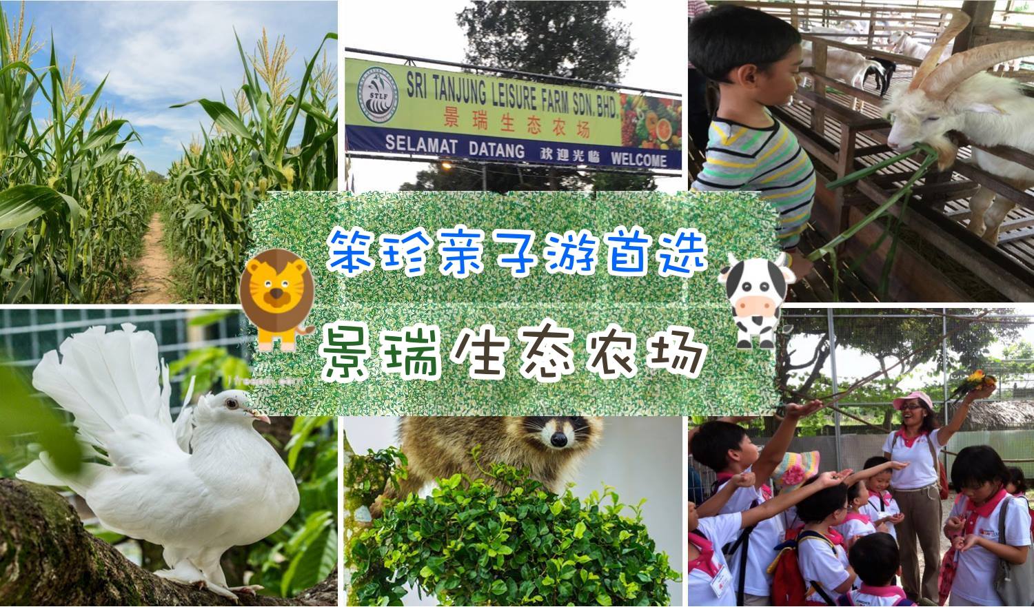 笨珍亲子游首选 · 景瑞生态农场