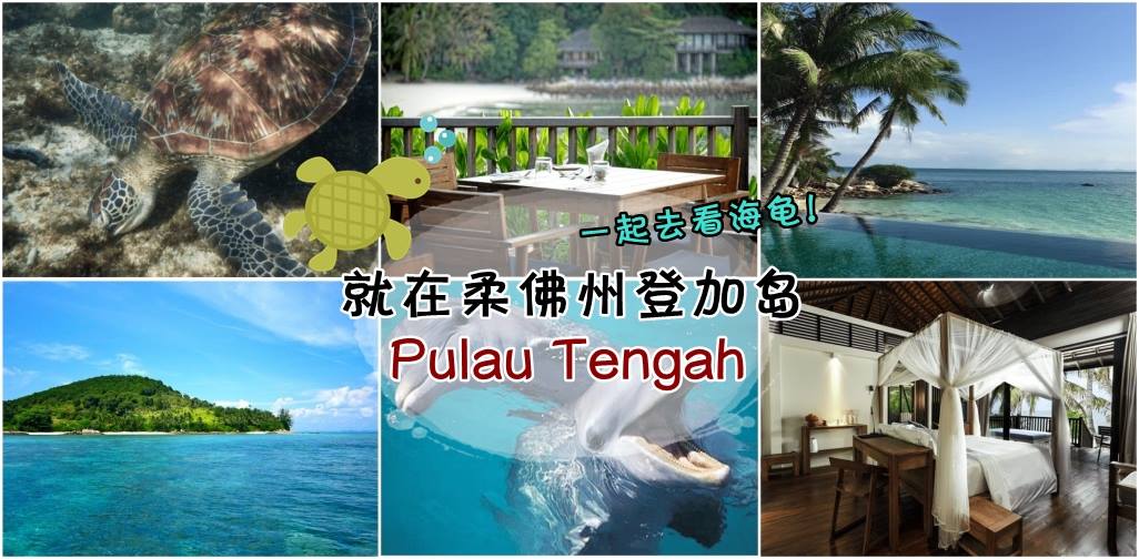 一起去看海龟！柔佛州登加岛 Pulau Tengah