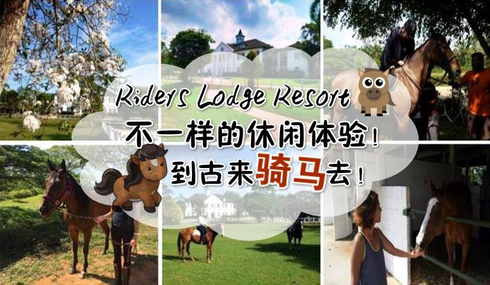 不一样的休闲体验 ‧ 到古来Riders Lodge Resort骑马趣 ！
