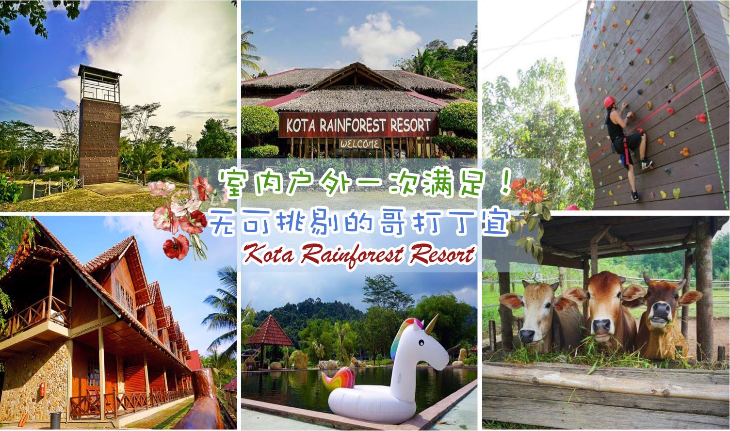 室内户外一次满足！无可挑剔的哥打丁宜Kota Rainforest Resort！