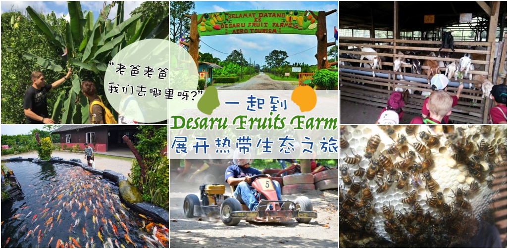 全马最大农业观光胜地 ‧ Desaru Fruits Farm