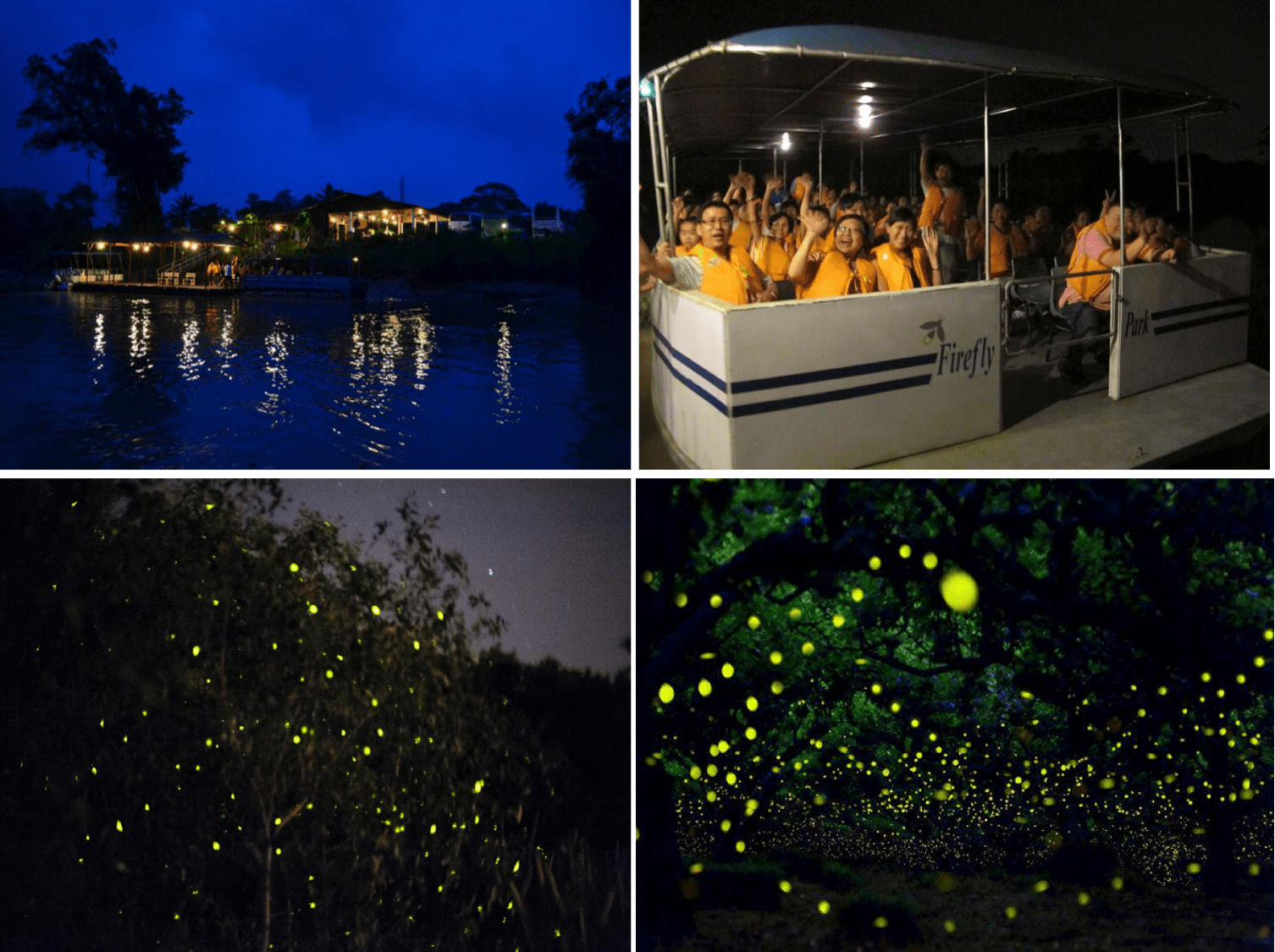 fireflies 2-min