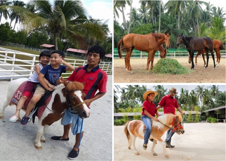 horse-riding-min