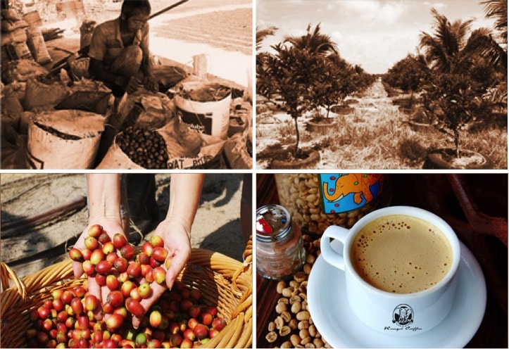 rengit coffee-min