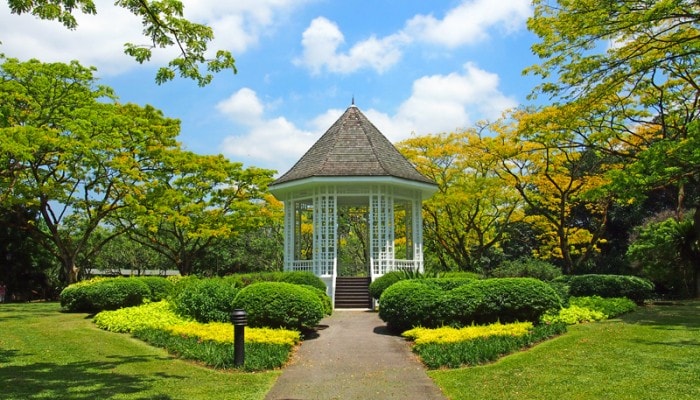 singapore-botanic-gardens-min