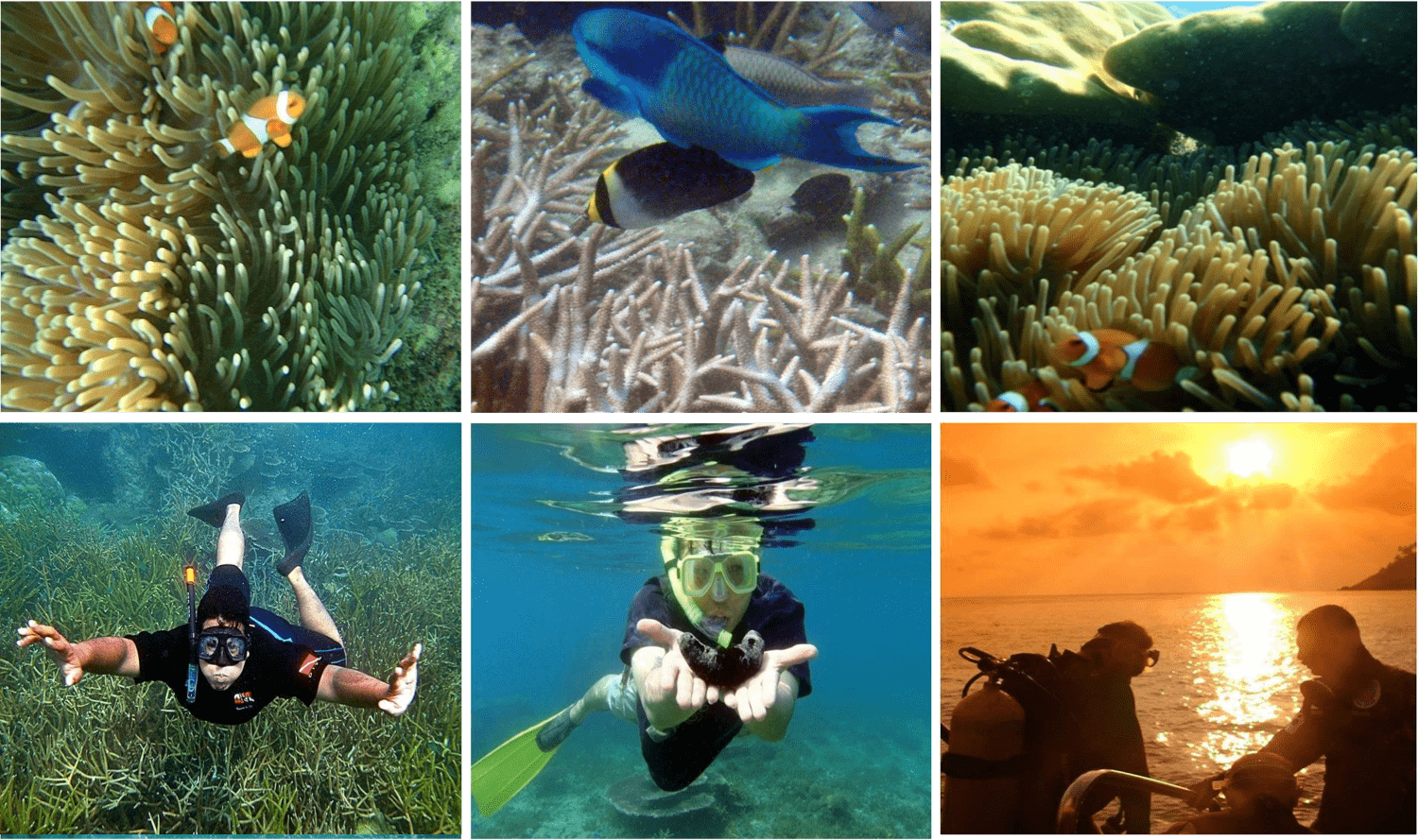 snorkeling 2-min