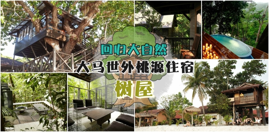回归大自然 · 大马世外桃源『树屋』