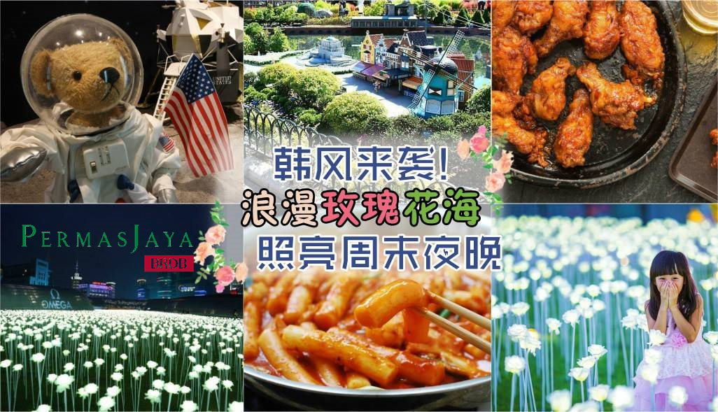 韩风来袭! 浪漫玫瑰花海 照亮周末夜晚