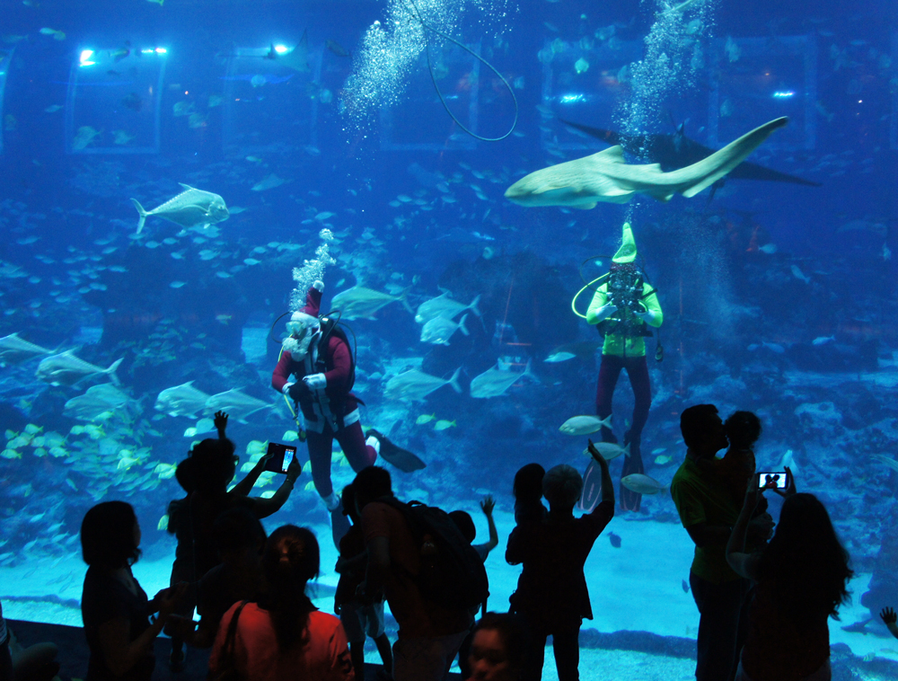 santa-elf-diving-christmas