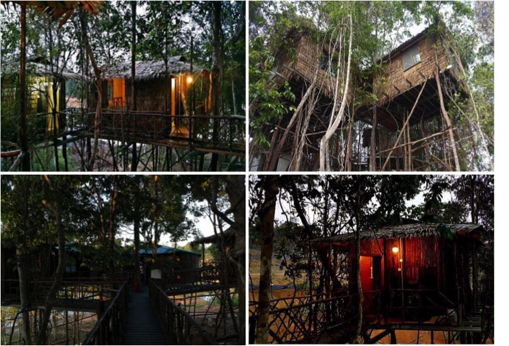 tree-house-min