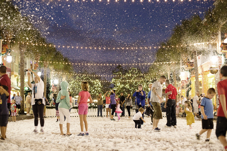 vncelebrationsnowfall