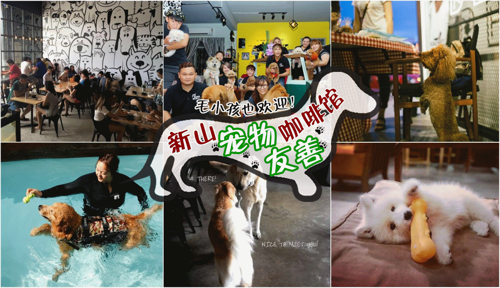 欢迎毛小孩 ‧ 新山宠物友善咖啡馆！