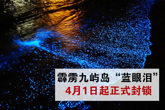 霹雳九屿岛“蓝眼泪”4月1日起正式封锁 · 擅闯者一律抓！