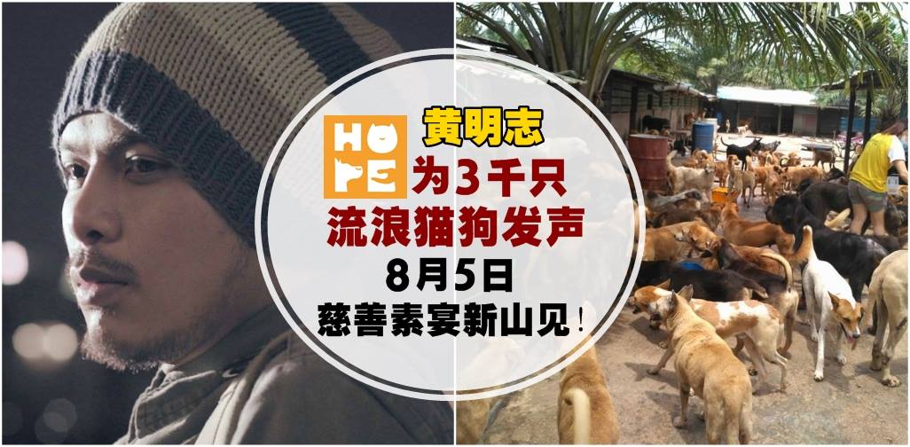 【黄明志邀你献爱心】捐款为3千流浪猫狗建设医疗中心 · 8月5日新山慈善素宴不见不散！