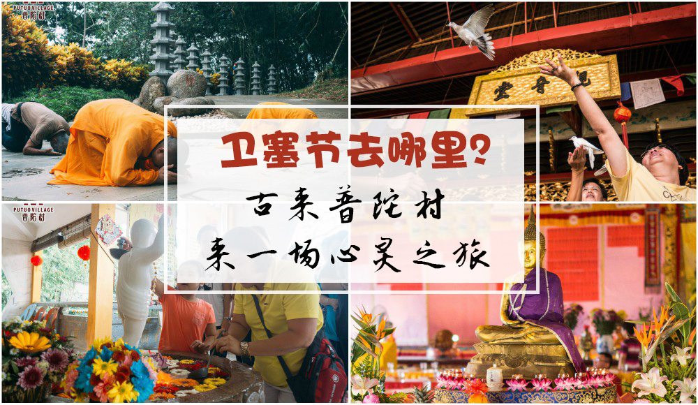 【卫塞节去哪里？】给你不一般的节日体验 · 古来普陀村让你感受一场心灵之旅