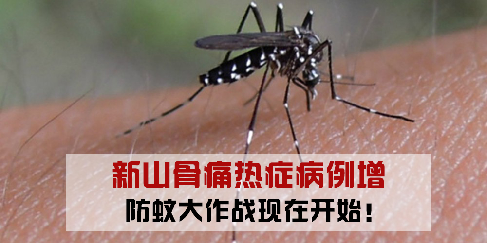 天气炎热 · 骨痛热症病例上升 · 新山最严重 · 这些防蚊贴士你一定要懂！