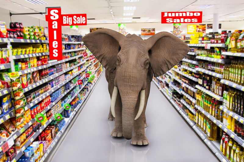 “elephant in supermarket”的图片搜索结果