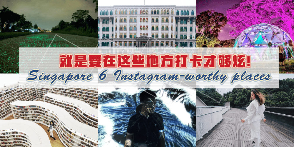 【私藏好地方】新加坡6大“秘密拍照圣地“！你都来打卡了吗？