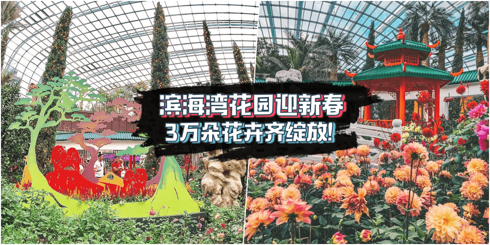 【滨海湾花园红了】缤纷大丽花开满园 · 免费活动逐个看！