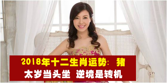 【新春特辑】2018年十二生肖运势第完结篇：猪 · 看准时机 开拓不同商机！