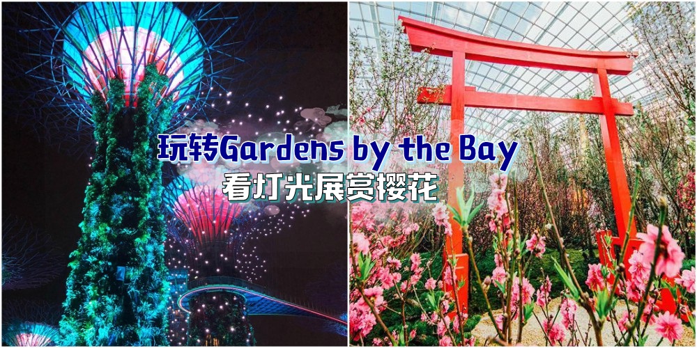 【周末去哪儿】玩转Gardens by the Bay · 就到新加坡看灯光展赏樱花！