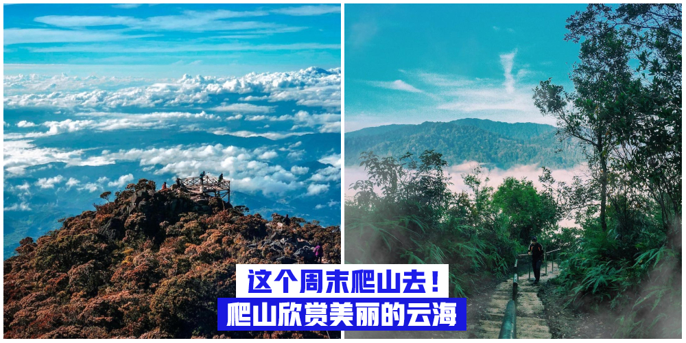 【一起健康人生！】周末爬山去 · 马来西亚看云海的绝佳地点！