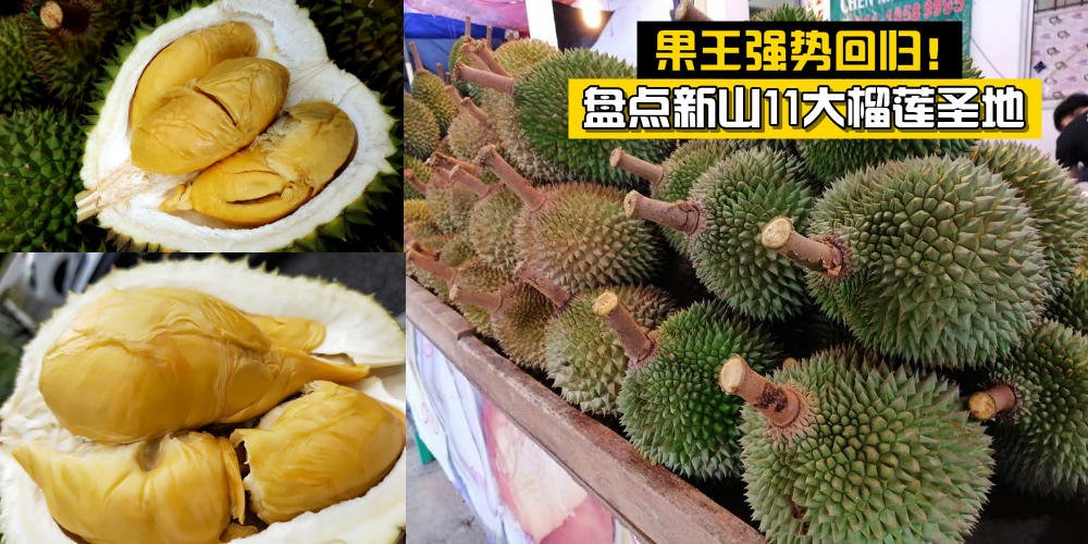 【果王强势回归】盘点新山11大榴莲圣地 · 不吃对不起自己！