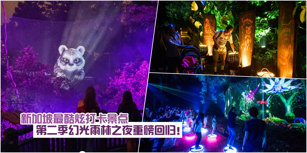 【夜晚狂欢的动物派对】新加坡动物园第二季幻光雨林之夜重磅回归！