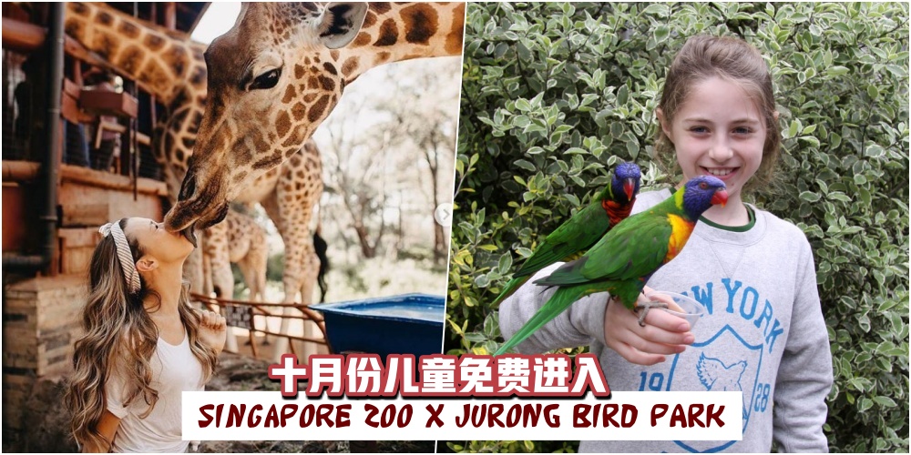 【 十月份儿童免费入场 !】新加坡动物园携手裕廊飞禽公园送福利 · 让您与孩子尽览猛兽?...