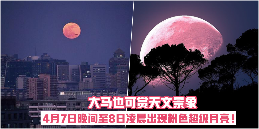 在家防疫也可抬头望美景 · 4月7日晚间至8日凌晨大马可赏粉色超级月亮！