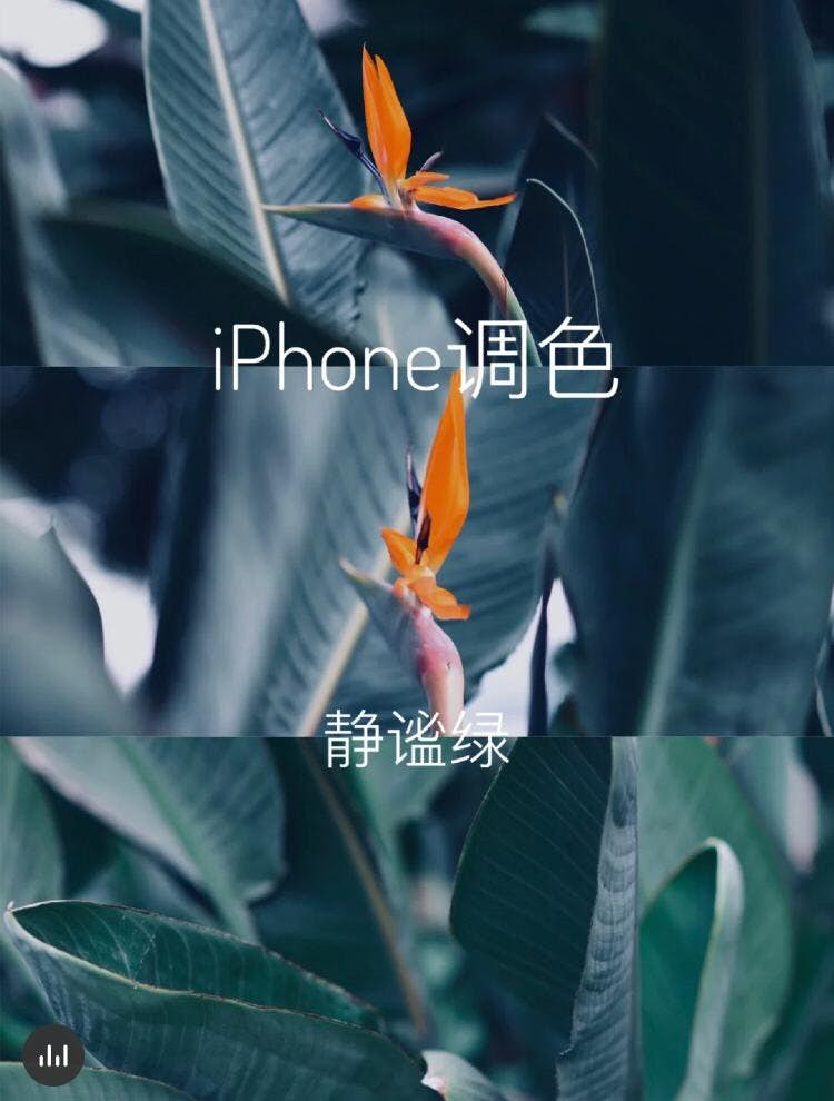 手残党也可修大片 不用修图app Iphone内建10款ins风调色教程学起来 Johornow 就在柔佛by Now Media Group Sdn Bhd