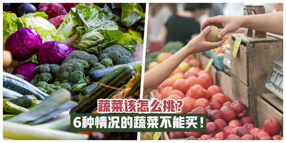 【蔬菜怎么挑？】蔬菜长这样的千万不能买！