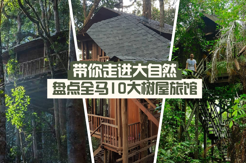 【 带你走进大自然！】盘点全马10大树屋旅馆 :: 一起体验纯朴原始的生活
