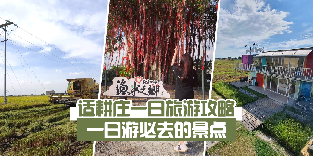 【 让小编带你飞 ！ 】适耕庄一日旅游攻略 • 金灿灿的稻田海也太美了！