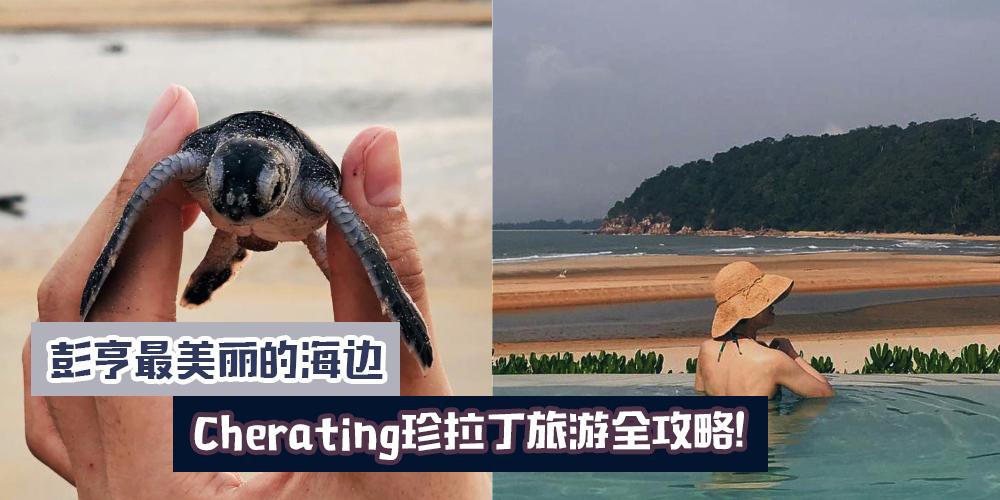 【彭亨最美海边】Cherating珍拉丁吃喝玩乐旅游全攻略