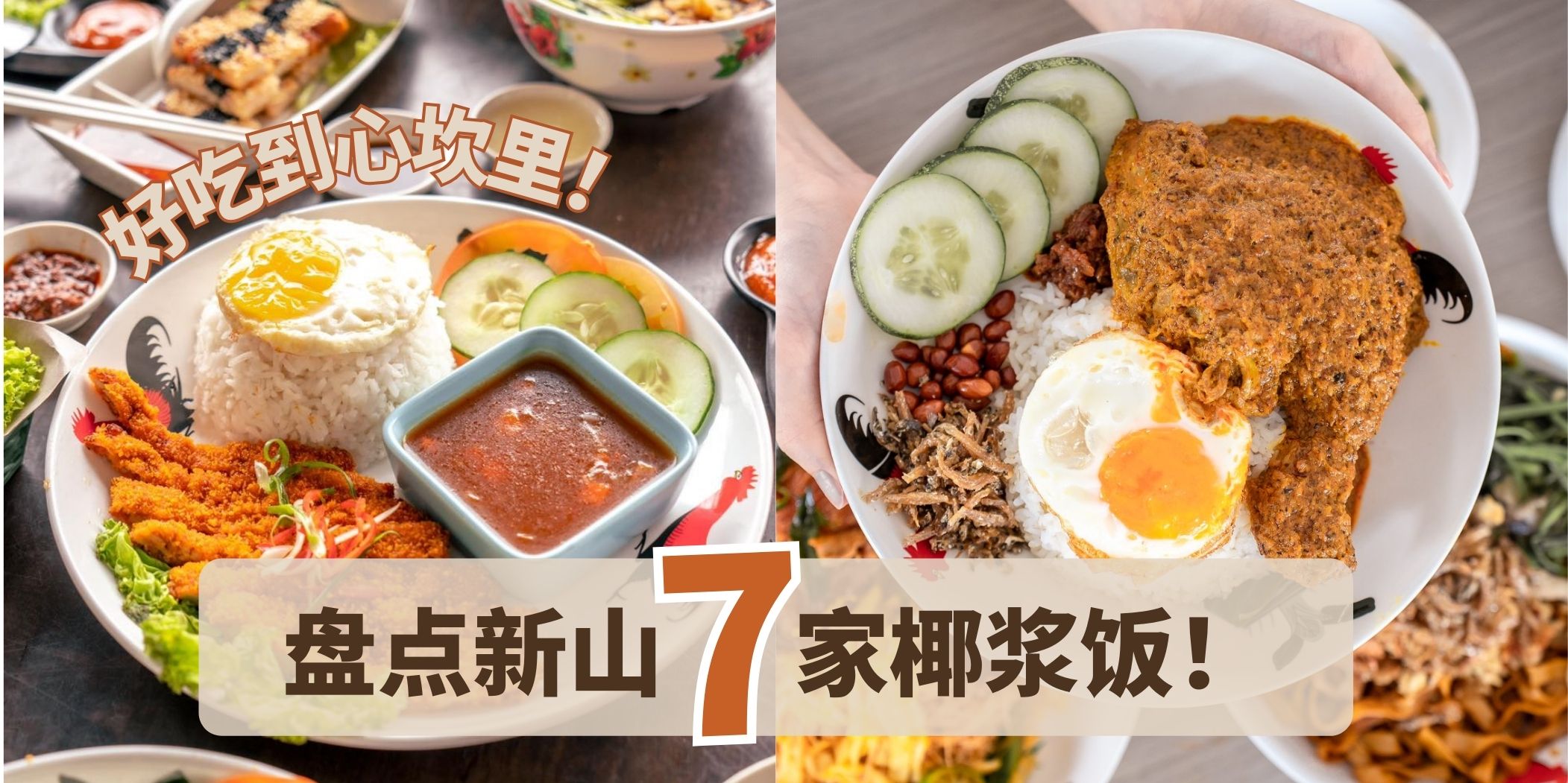 国民美食来啦！｜盘点新山椰浆饭！