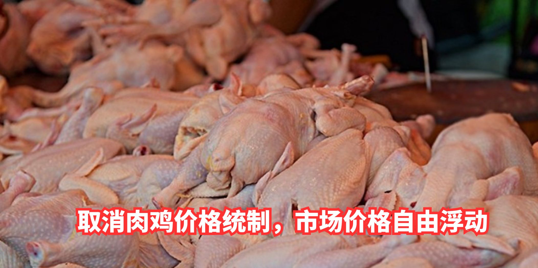 【 取消肉鸡价格统制，市场价格自由浮动 】